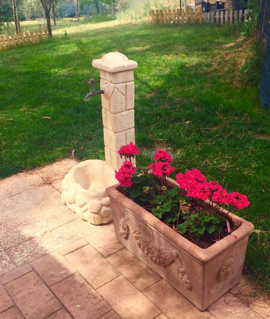 B&B Monte Di Bu Bagno Roselle Exterior foto